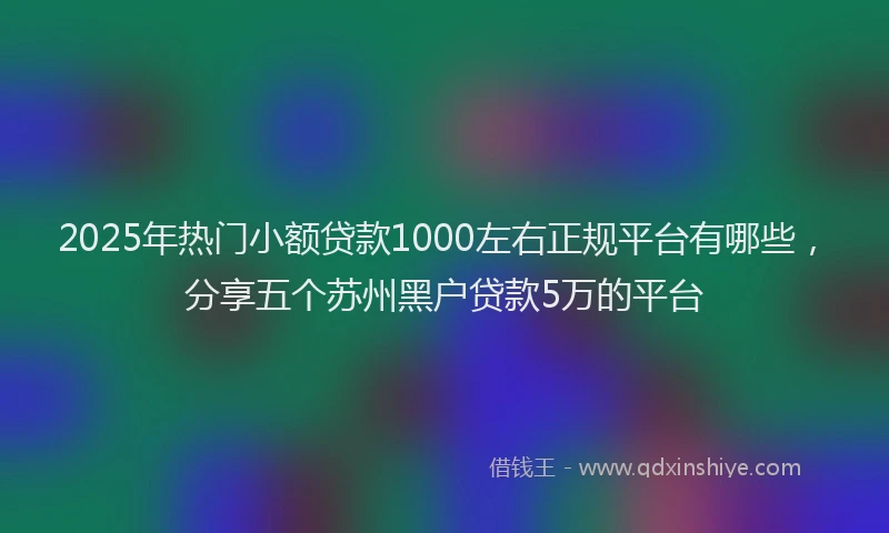 2025年热门小额贷款1000左右正规平台有哪些，分享五个苏州黑户贷款5万的平台