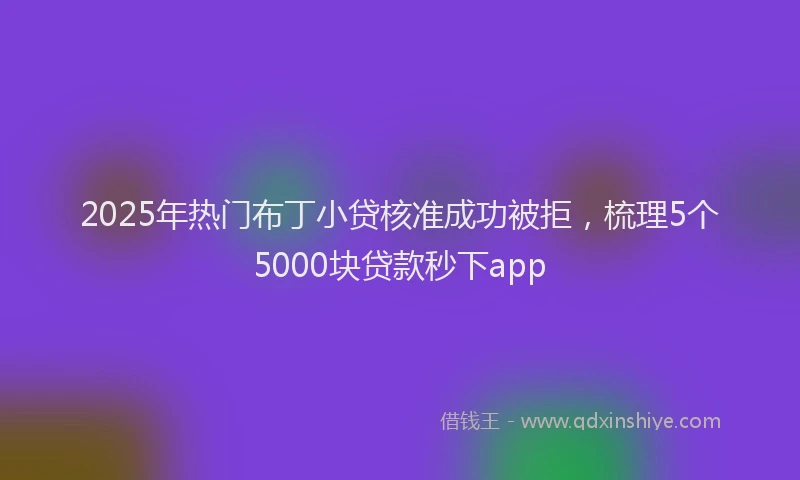 2025年热门布丁小贷核准成功被拒，梳理5个5000块贷款秒下app