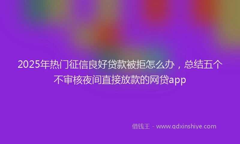2025年热门征信良好贷款被拒怎么办，总结五个不审核夜间直接放款的网贷app