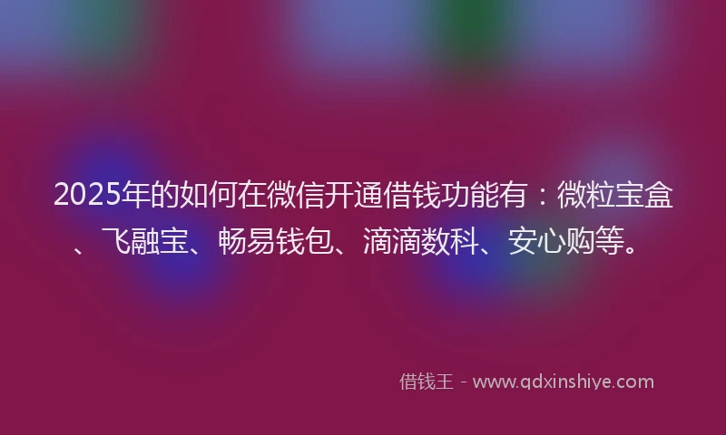 2025年的如何在微信开通借钱功能有：微粒宝盒、飞融宝、畅易钱包、滴滴数科、安心购等。