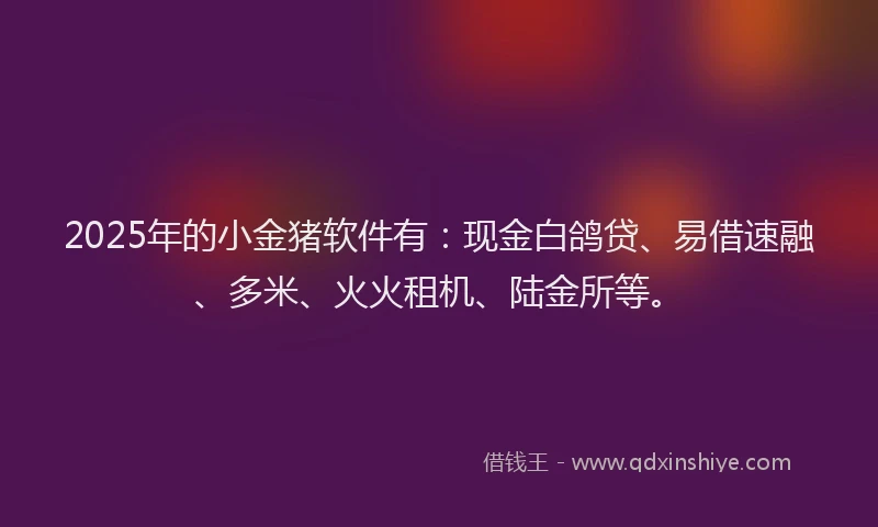 2025年的小金猪软件有：现金白鸽贷、易借速融、多米、火火租机、陆金所等。