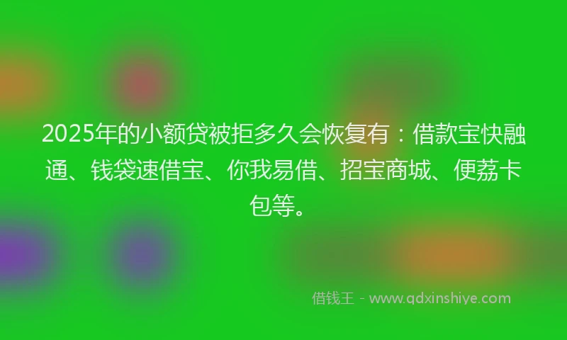 2025年的小额贷被拒多久会恢复有：借款宝快融通、钱袋速借宝、你我易借、招宝商城、便荔卡包等。