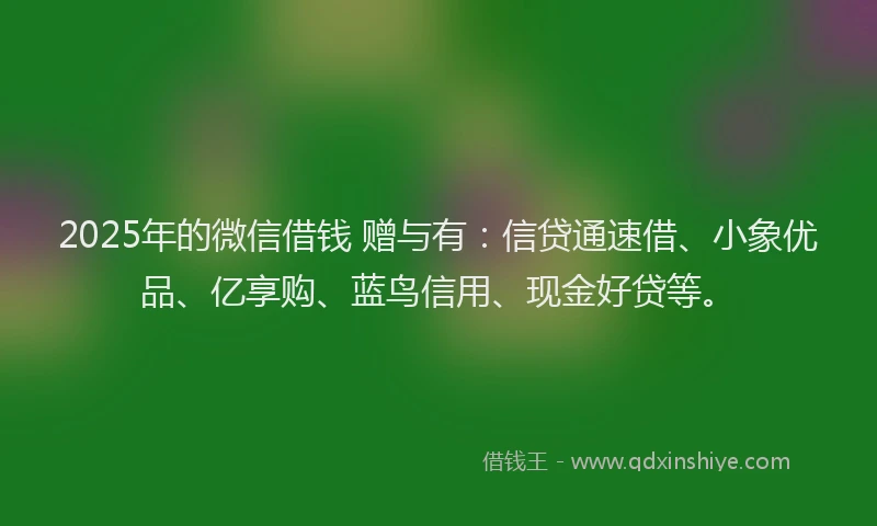 2025年的微信借钱 赠与有：信贷通速借、小象优品、亿享购、蓝鸟信用、现金好贷等。