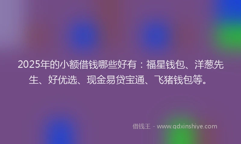 2025年的小额借钱哪些好有：福星钱包、洋葱先生、好优选、现金易贷宝通、飞猪钱包等。