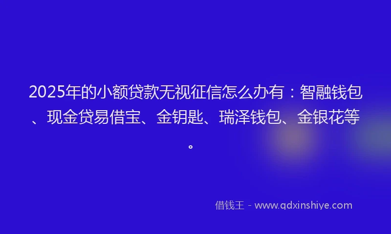 2025年的小额贷款无视征信怎么办有：智融钱包、现金贷易借宝、金钥匙、瑞泽钱包、金银花等。