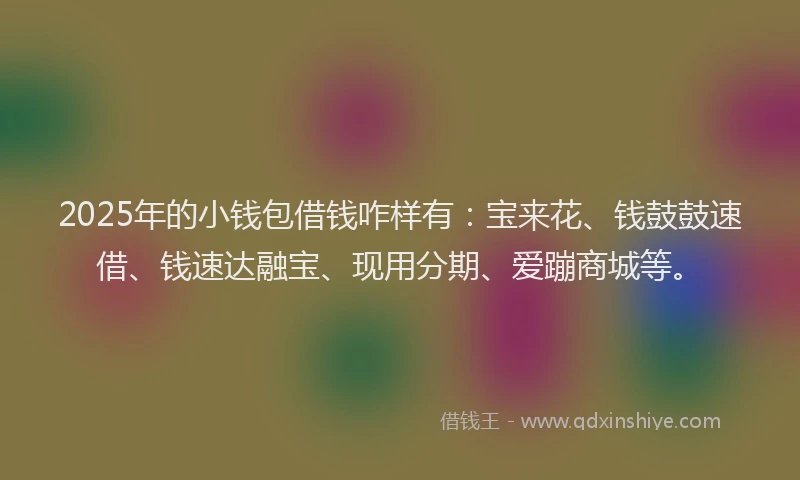 2025年的小钱包借钱咋样有：宝来花、钱鼓鼓速借、钱速达融宝、现用分期、爱蹦商城等。