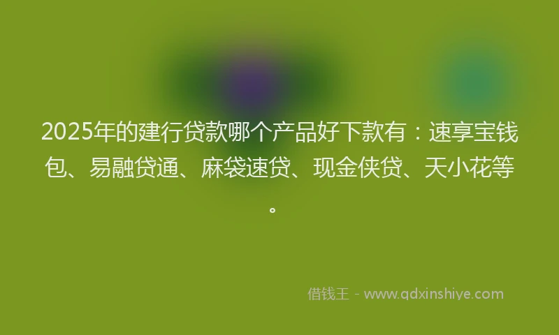 2025年的建行贷款哪个产品好下款有：速享宝钱包、易融贷通、麻袋速贷、现金侠贷、天小花等。