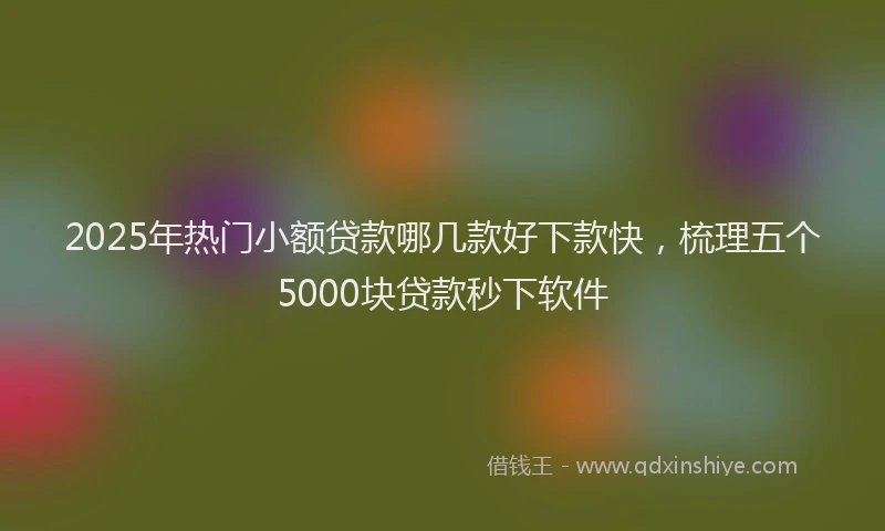 2025年热门小额贷款哪几款好下款快，梳理五个5000块贷款秒下软件