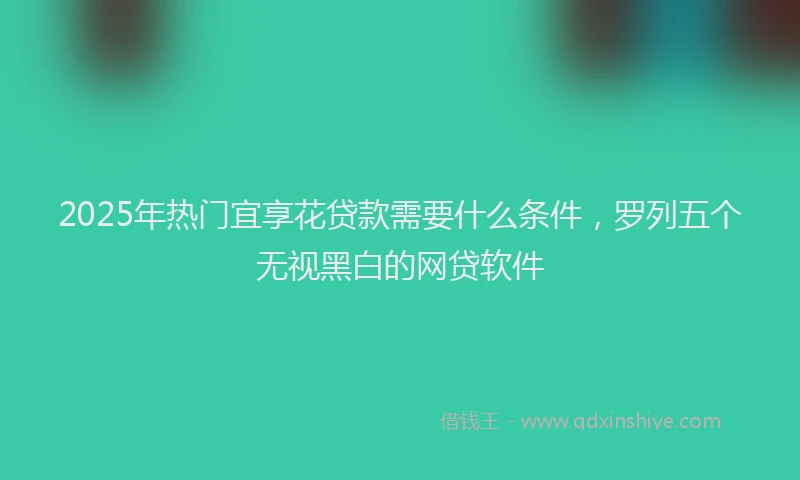 2025年热门宜享花贷款需要什么条件，罗列五个无视黑白的网贷软件