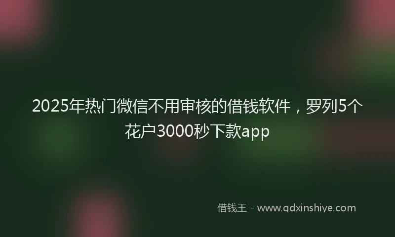 2025年热门微信不用审核的借钱软件，罗列5个花户3000秒下款app