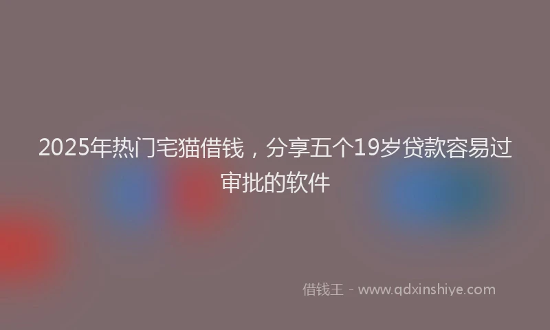 2025年热门宅猫借钱，分享五个19岁贷款容易过审批的软件