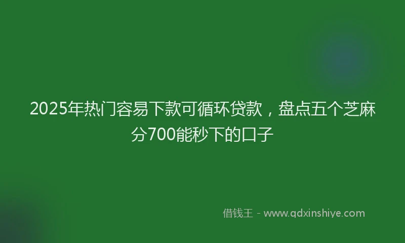 2025年热门容易下款可循环贷款，盘点五个芝麻分700能秒下的口子