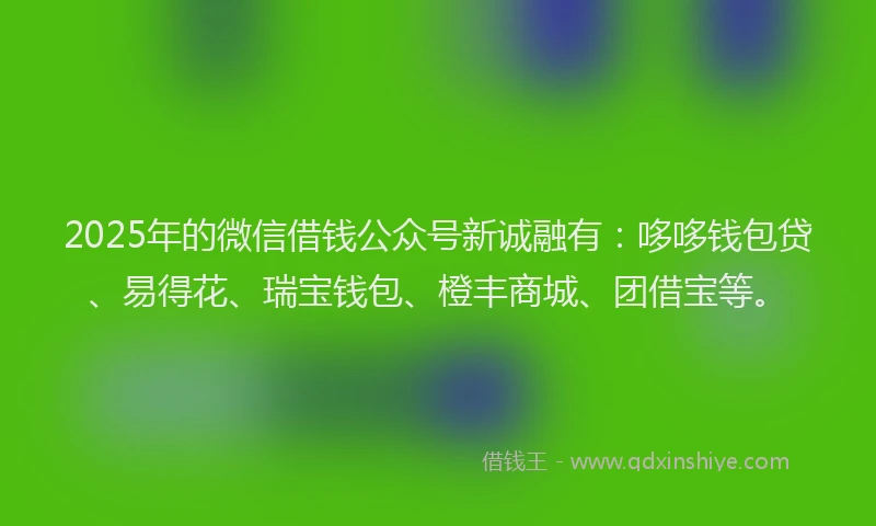 2025年的微信借钱公众号新诚融有：哆哆钱包贷、易得花、瑞宝钱包、橙丰商城、团借宝等。