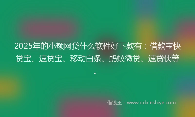 2025年的小额网贷什么软件好下款有：借款宝快贷宝、速贷宝、移动白条、蚂蚁微贷、速贷侠等。