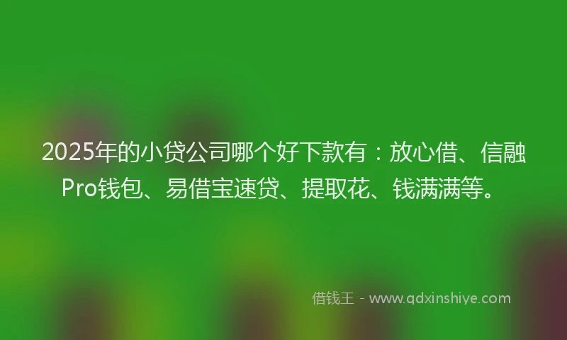 2025年的小贷公司哪个好下款有：放心借、信融Pro钱包、易借宝速贷、提取花、钱满满等。