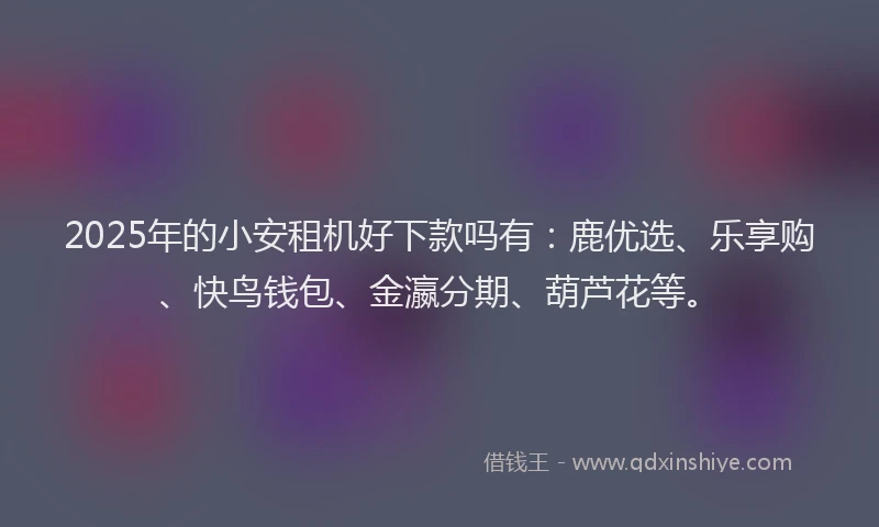 2025年的小安租机好下款吗有：鹿优选、乐享购、快鸟钱包、金瀛分期、葫芦花等。