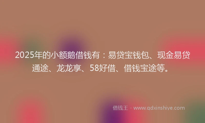 2025年的小额鹅借钱有：易贷宝钱包、现金易贷通途、龙龙享、58好借、借钱宝途等。