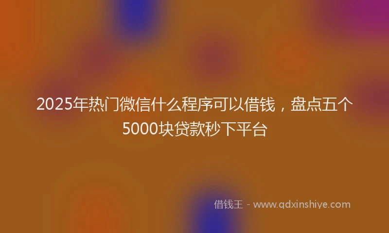 2025年热门微信什么程序可以借钱，盘点五个5000块贷款秒下平台