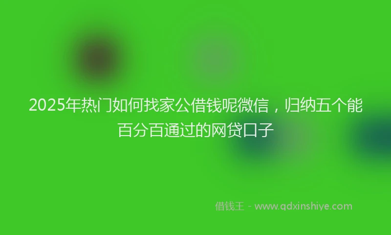 2025年热门如何找家公借钱呢微信，归纳五个能百分百通过的网贷口子