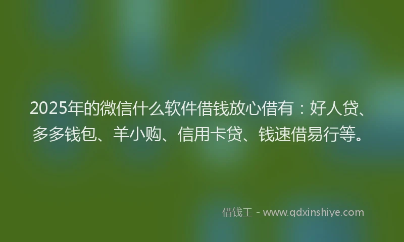 2025年的微信什么软件借钱放心借有：好人贷、多多钱包、羊小购、信用卡贷、钱速借易行等。