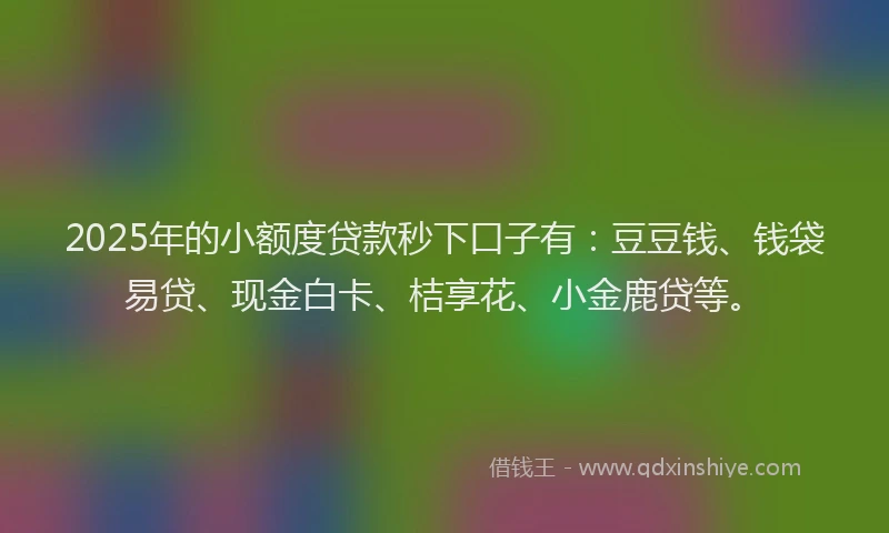 2025年的小额度贷款秒下口子有：豆豆钱、钱袋易贷、现金白卡、桔享花、小金鹿贷等。