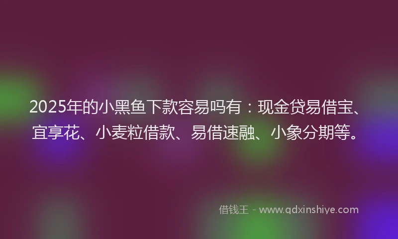 2025年的小黑鱼下款容易吗有：现金贷易借宝、宜享花、小麦粒借款、易借速融、小象分期等。