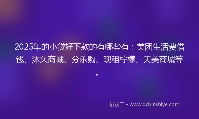 2025年的小贷好下款的有哪些有：美团生活费借钱、沐久商城、分乐购、现租柠檬、天美商城等。