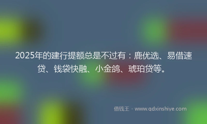 2025年的建行提额总是不过有：鹿优选、易借速贷、钱袋快融、小金鸽、琥珀贷等。