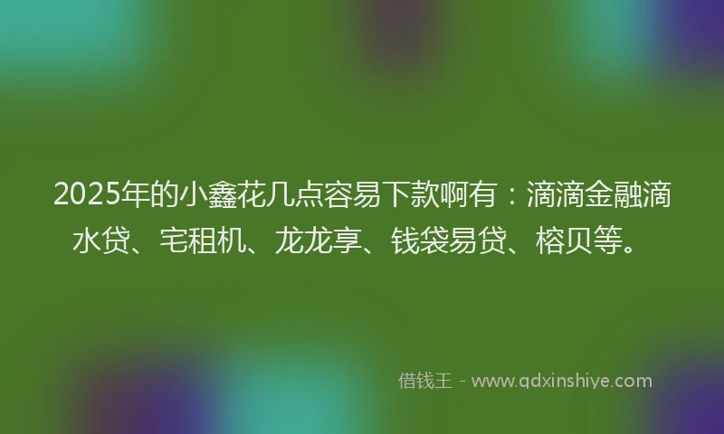 2025年的小鑫花几点容易下款啊有：滴滴金融滴水贷、宅租机、龙龙享、钱袋易贷、榕贝等。