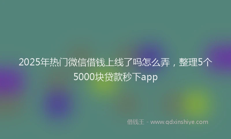 2025年热门微信借钱上线了吗怎么弄，整理5个5000块贷款秒下app