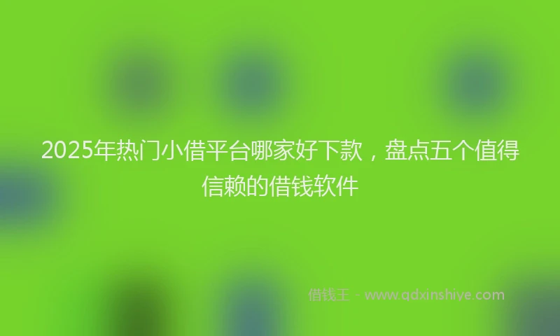 2025年热门小借平台哪家好下款，盘点五个值得信赖的借钱软件