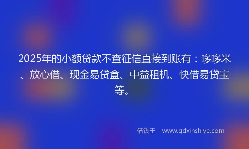 2025年的小额贷款不查征信直接到账有：哆哆米、放心借、现金易贷盒、中益租机、快借易贷宝等。