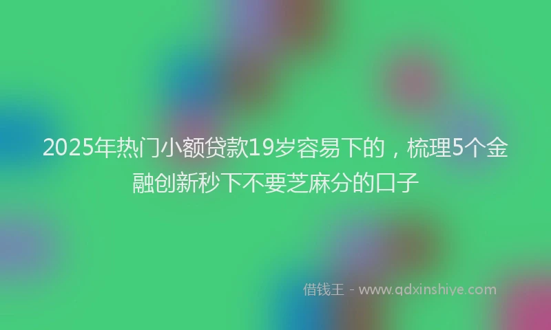 2025年热门小额贷款19岁容易下的，梳理5个金融创新秒下不要芝麻分的口子
