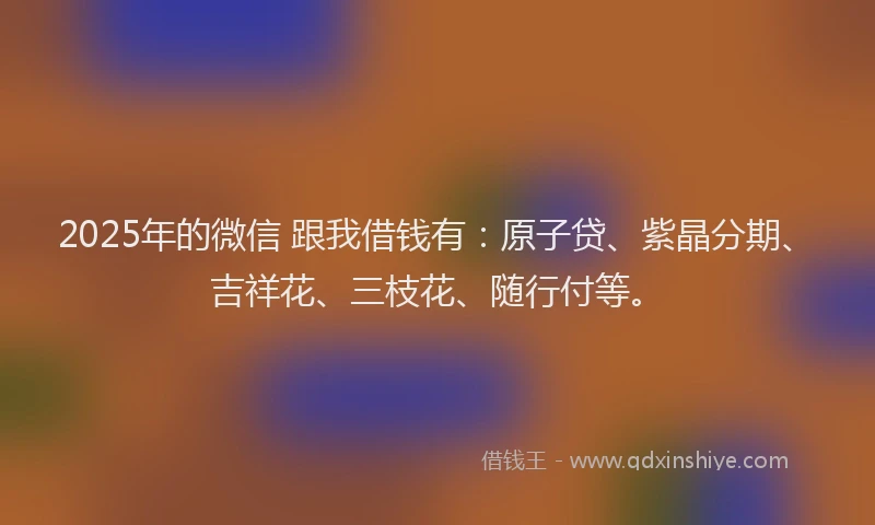 2025年的微信 跟我借钱有：原子贷、紫晶分期、吉祥花、三枝花、随行付等。