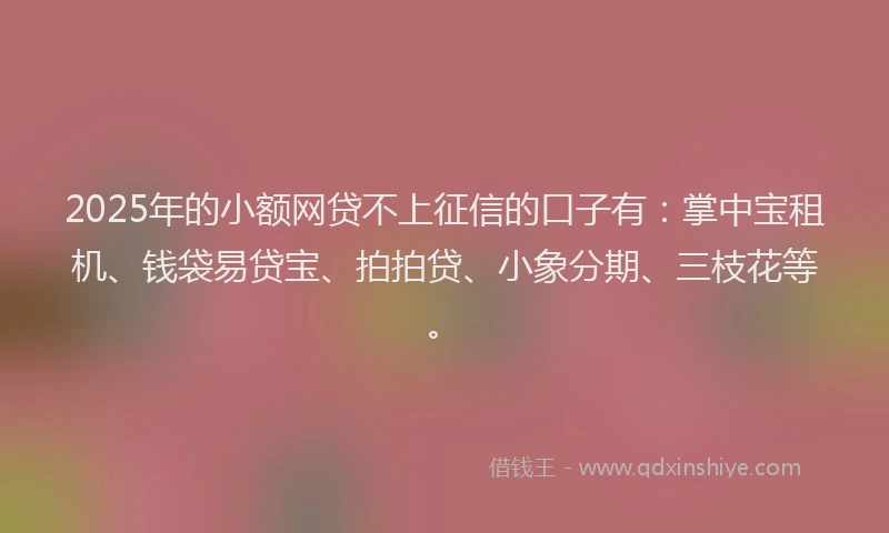 2025年的小额网贷不上征信的口子有：掌中宝租机、钱袋易贷宝、拍拍贷、小象分期、三枝花等。