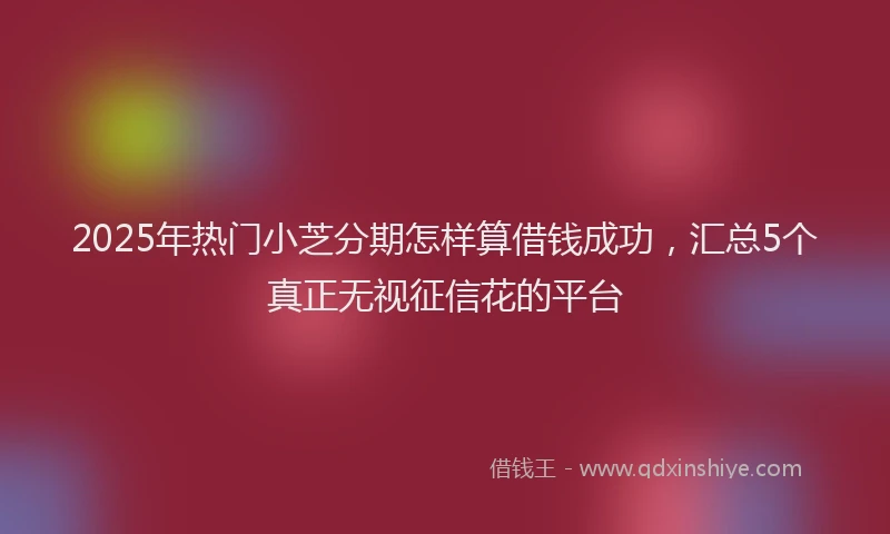 2025年热门小芝分期怎样算借钱成功，汇总5个真正无视征信花的平台
