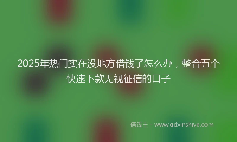 2025年热门实在没地方借钱了怎么办，整合五个快速下款无视征信的口子