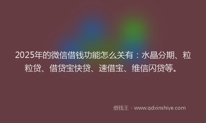 2025年的微信借钱功能怎么关有：水晶分期、粒粒贷、借贷宝快贷、速借宝、维信闪贷等。
