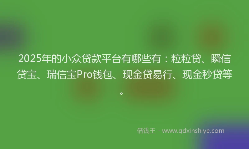 2025年的小众贷款平台有哪些有：粒粒贷、瞬信贷宝、瑞信宝Pro钱包、现金贷易行、现金秒贷等。