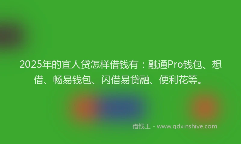 2025年的宜人贷怎样借钱有：融通Pro钱包、想借、畅易钱包、闪借易贷融、便利花等。