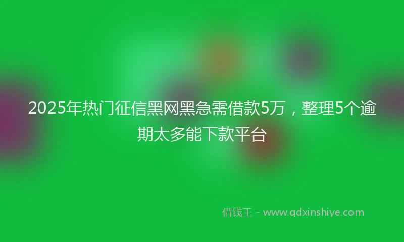 2025年热门征信黑网黑急需借款5万，整理5个逾期太多能下款平台