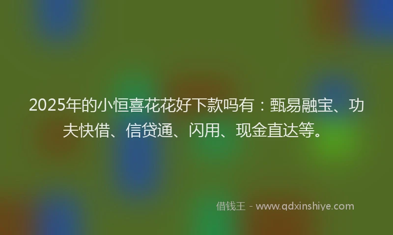 2025年的小恒喜花花好下款吗有：甄易融宝、功夫快借、信贷通、闪用、现金直达等。