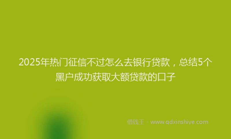 2025年热门征信不过怎么去银行贷款，总结5个黑户成功获取大额贷款的口子