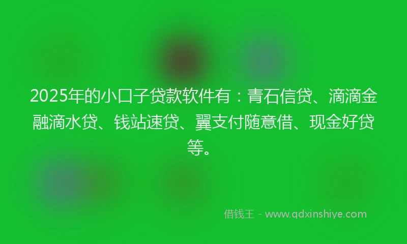 2025年的小口子贷款软件有：青石信贷、滴滴金融滴水贷、钱站速贷、翼支付随意借、现金好贷等。