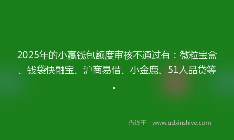2025年的小赢钱包额度审核不通过有：微粒宝盒、钱袋快融宝、沪商易借、小金鹿、51人品贷等。