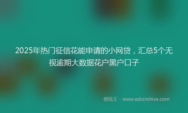 2025年热门征信花能申请的小网贷，汇总5个无视逾期大数据花户黑户口子