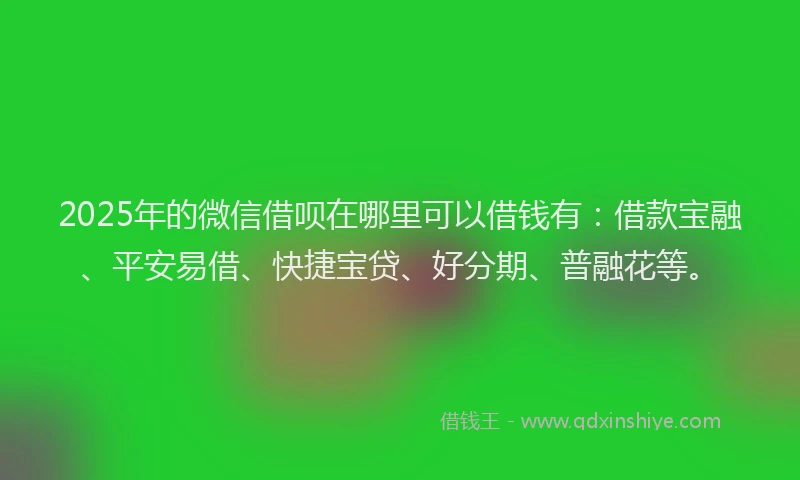 2025年的微信借呗在哪里可以借钱有：借款宝融、平安易借、快捷宝贷、好分期、普融花等。