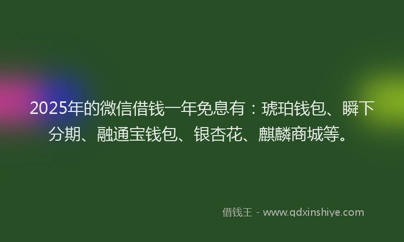 2025年的微信借钱一年免息有：琥珀钱包、瞬下分期、融通宝钱包、银杏花、麒麟商城等。