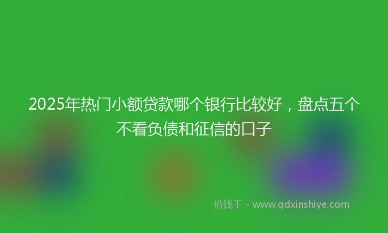 2025年热门小额贷款哪个银行比较好，盘点五个不看负债和征信的口子