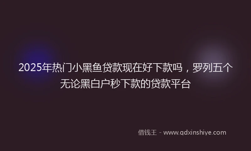 2025年热门小黑鱼贷款现在好下款吗，罗列五个无论黑白户秒下款的贷款平台
